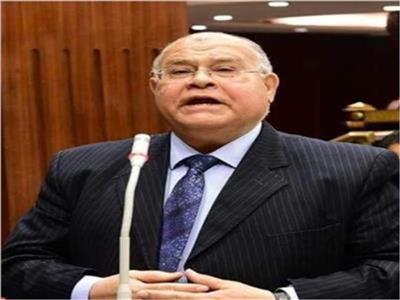 رئيس حزب الجيل الديمقراطى: مصر لن تتخلى عن أمتها العربية وقضيتها المركزية