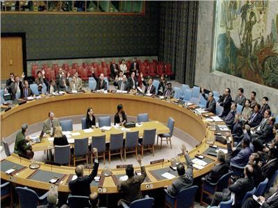 الدول العربية تؤيد مشروع القرار الروسي بشأن الوضع في غزة
