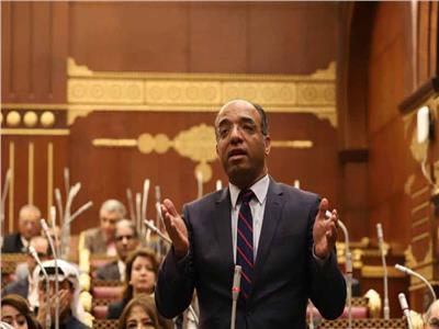 برلماني: قمة القاهرة الدولية تأكيد على دور مصر التاريخي الداعم للشعب الفلسطيني