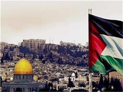 جميل عفيفي: مصر لا تقبل بتصفية القضية الفلسطينية وتهجير أهالي غزة إلى سيناء