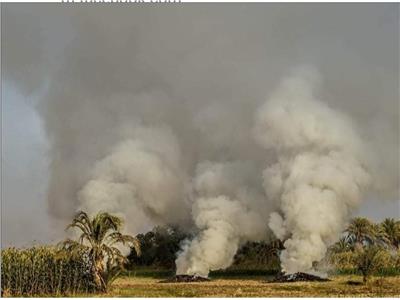 حرق المخلفات الزراعية مراقب «بالقمر الصناعي» في أسيوط