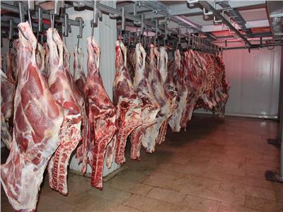 استقرار أسعار اللحوم فى الأسواق اليوم الإثنين 30 أكتوبر 2023