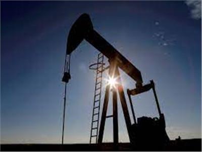 اهتمام كامل من «البترول» للإسراع بتنمية الاحتياطيات البترولية بحقول سيناء