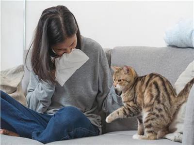 هل أنت مصاب بحساسية القطط؟.. تعرف على أعراض الإصابة 