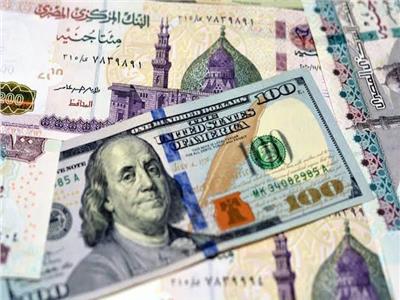 استقرار سعر الدولار في ختام  تعاملات اليوم الجمعة 3 نوفمبر  