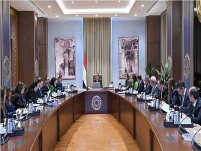 «مدبولي» يترأس اجتماع المجلس التنسيقي للسياسات النقدية لبحث التعامل مع الأزمات العالمية