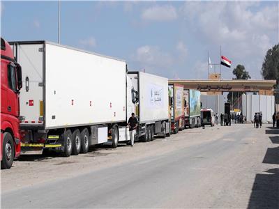 «العربية للهلال والصليب الأحمر»: مصر تبذل مجهودا جبارا لدخول المساعدات لغزة