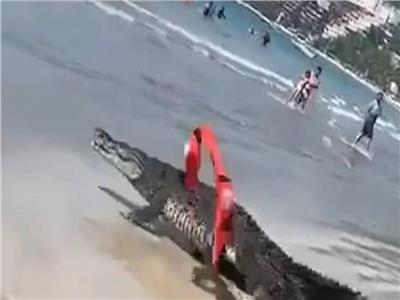 "تمساح"  يثير الذعر على شاطئ مكسيكي