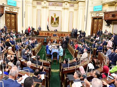 درويش: "الأمن القومي المصري خط أحمر ونُحذر من التهجير القسري للفلسطنيين"