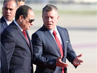 قاسم العمرو: موقف مصر والأردن أحبط المخطط الإسرائيلى لتهجير الفلسطينيين