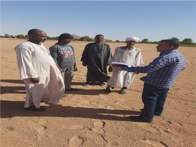 «بحوث الصحراء»: قوافل إرشادية في توشكى لزراعة محصول القمح