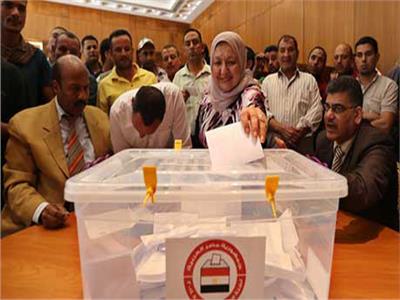 المصريون في أمريكا يستعدون للمشاركة في الانتخابات الرئاسية المصرية