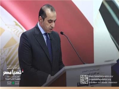 المستشار محمود فوزي: عقدنا 110 لقاءات وتواصلنا مع المصريين بالخارج لدعم الرئيس