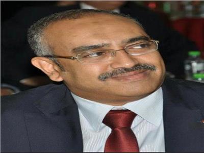 القنصل المصري في جدة: نتعاون مع "الوطنية للانتخابات" لتسهيل عملية التصويت