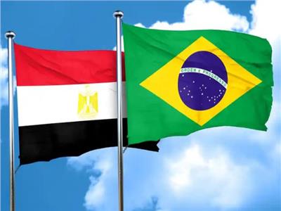 سفيرة مصر بالبرازيل: إقبال كثيف وانتظام في اليوم الثالث للانتخابات