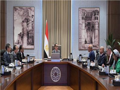 رئيس الوزراء يُتابع الموقف التنفيذي لأهم مشروعات شركات الهيئة العربية للتصنيع