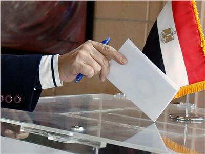 حملة مواطن بالخارج تحث المصريين بالداخل على المشاركة في الانتخابات الرئاسية  