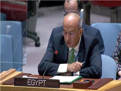مصر: مجلس الأمن عجز عن أداء واجبه لوقف إطلاق النار في غزة