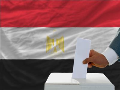 «الوطنية للانتخابات»: لجان السويس فتحت أبوابها أمام الناخبين في التاسعة صباحا