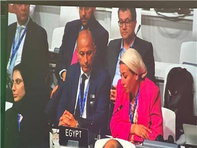 وزيرة البيئة تهنئ الإمارات على نجاح رئاستها لـ COP28
