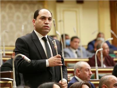 برلماني يكشف عن استفادة مصر اقتصادياً من نجاح انتخابات الرئاسة