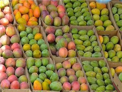 «الزراعة» تصدر توصيات للحفاظ على محصول المانجو