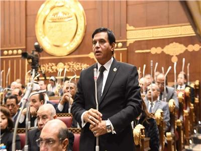 نصير: مصر قادرة على عبور الأزمات بفضل قيادتها الحكيمة
