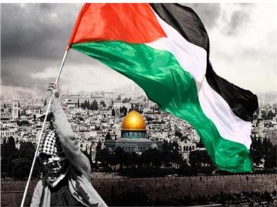 عميد «حقوق بني سويف»: القضية الفلسطينية جزء لا يتجزأ من الأمن القومي المصري