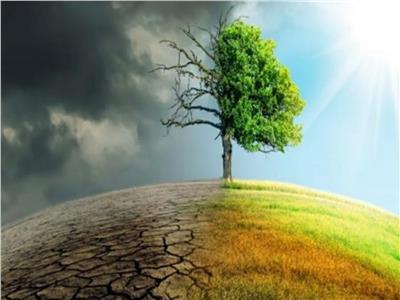حصاد 2023| وزيرة البيئة تستعرض جهود مصر في مواجهة تحدي تغير المناخ