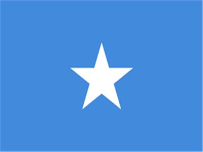 المغتربون الصوماليون يدعون لسحب جائزة نوبل للسلام من رئيس الوزراء الإثيوبي