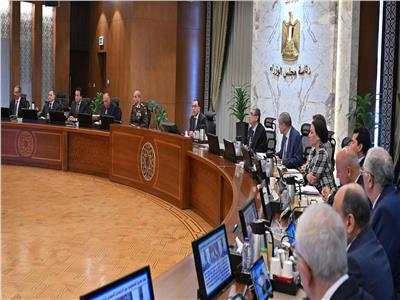 الحكومة توافق على استضافة مصر مركز التميز للتغيرات المناخية "نيباد"