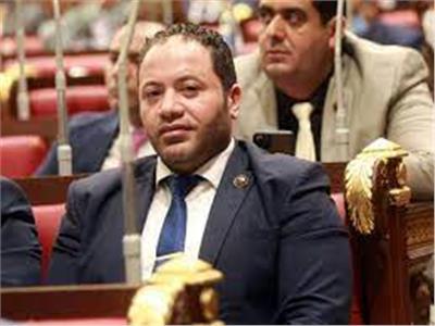 برلماني: «الدولة المصرية رائدة في صناعة الدواء بالشرق الأوسط»