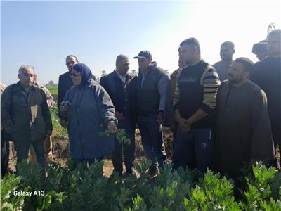 البحوث الزراعية: خطة لنشر الفرق الإرشادية للمحاصيل الشتوية في 22 محافظة