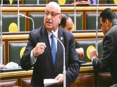 «برلماني» يطالب بالتطبيق الفوري لتعديلات الإجراءات الجنائية