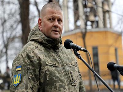 القائد العام للقوات المسلحة الأوكرانية يؤكد تدمير طائرتين روسيتين فوق بحر آزوف