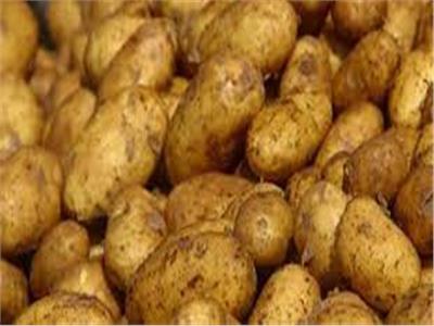 معلومات المناخ 5 توصيات هامة لمزارعي البطاطس لحمايتها من البرودة