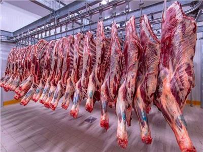 نقيب الزراعيين: الدولة تسير على نهج استيراد اللحوم من الخارج