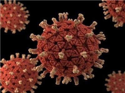 التحذيرات من "الوباء إكس" مستمرة منذ انتشار وباء كورونا