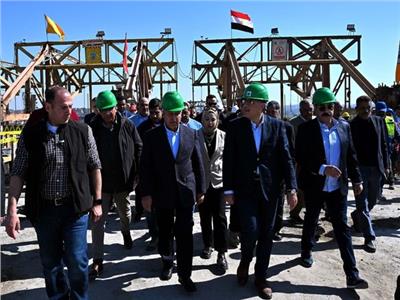 رئيس الوزراء يتفقد لوحة توزيع الكهرباء بقرية «فارس» بأسوان