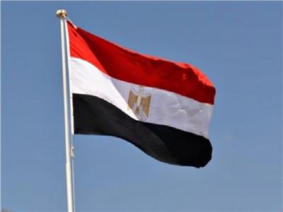 أستاذ قانون: 80% من الإجراءات الجنائية بالدولة العربية متخذ من مصر
