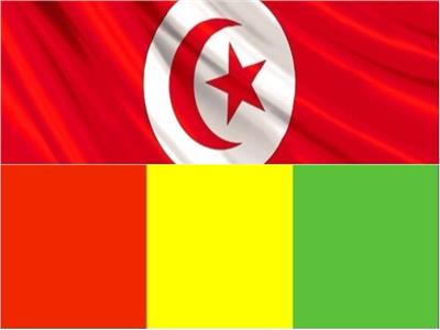 تونس وغينيا تؤكدان الحرص على تعزيز آفاق التعاون المشترك