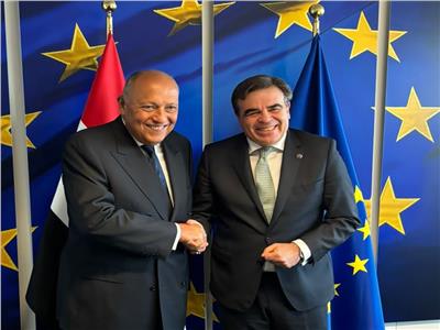 شكري يبحث مع نائب رئيس المفوضية الأوروبية آفاق تعزيز العلاقات الثنائية
