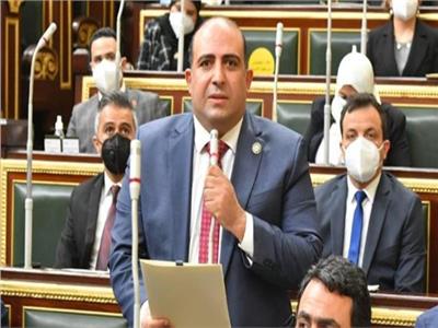 برلماني يشيد بحرص مصر على الدعم الكامل للأردن والحفاظ على استقراره‎