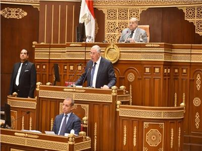 وزير الزراعة أمام مجلس الشيوخ: الرؤية الاستباقية وفرت الأمن الغذائي للمصريين