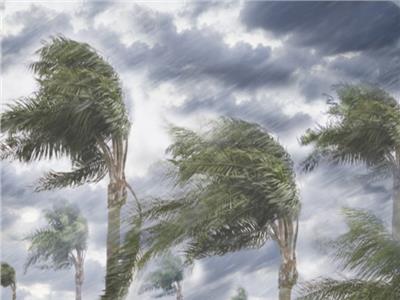 «الأرصاد» تُحذر المواطنين من مرتفع جوي ورياح صحراوية