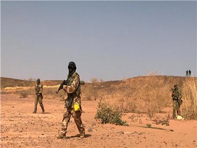 إصابة 8 جنود ومدني خلال هجوم في النيجر