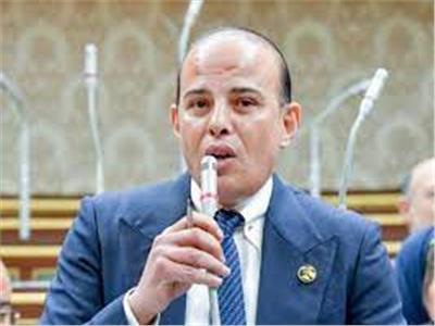 اقتصادية النواب: مصر تتبنى القضية الفلسطينية ولن تسمح بالتهجير القسرى تحت أي مسمى ‎