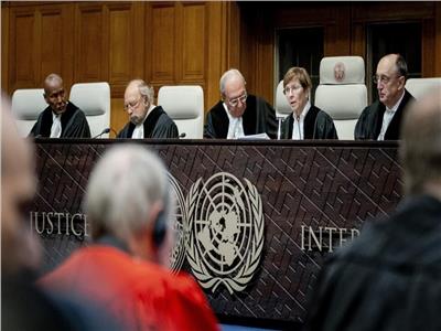 أستاذ قانون دولي: 50 دولة و3 منظمات دولية تقدم مرافعات أمام «العدل الدولية» ضد إسرائيل