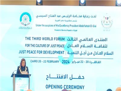 وزيرة الثقافة: نتطلع للتعاون العربي في ترسيخ ثقافة السلام