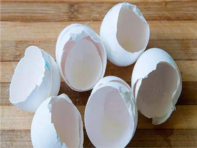 «من غير ما ترميه».. 5 استخدامات رائعة لبقايا قشر البيض